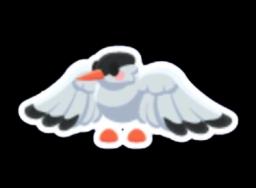 Arctic Tern Sticker