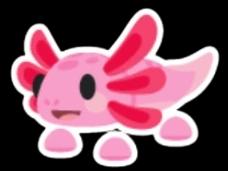 Axolotl Sticker
