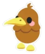 Kiwi Sticker