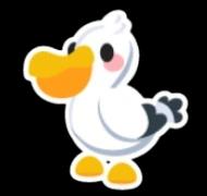 Pelican Sticker