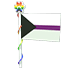 Demi Flag 2023