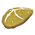 Dimorphodon Fossil