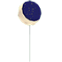 Eclipse Balloon