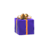 Gift Throw Toy