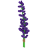 Lavender Bundle