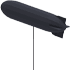 Lead Zeppelin Balloon