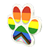 Pride Paw Flying Disc