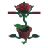 Rose Pogo