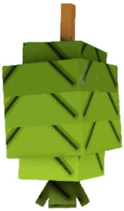 Feijoa