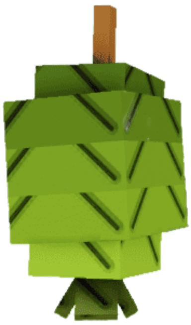 Feijoa