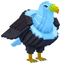 Eaglucci Cocosucci