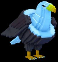 Eaglucci Cocosucci
