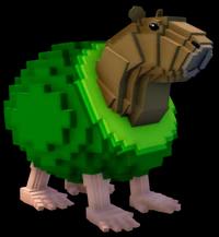 Pipi Avocado