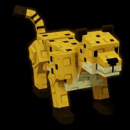 Cheetah