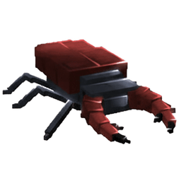 Stag Beetle