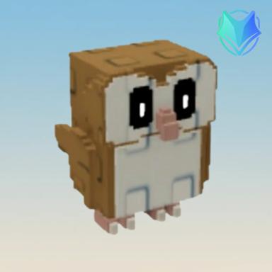 Barn Owl