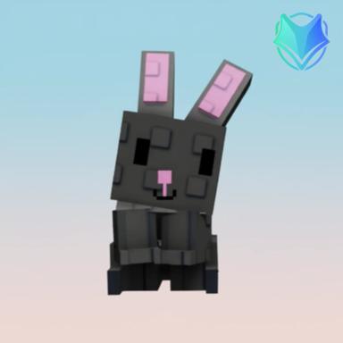 Black Bunny