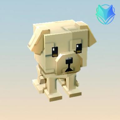 Bone Dog