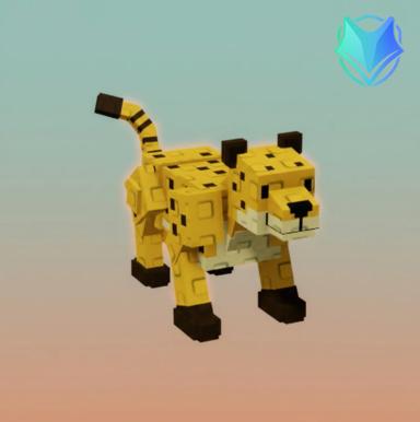 Cheetah