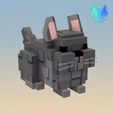 Chinchilla