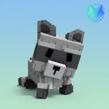 Raccoon