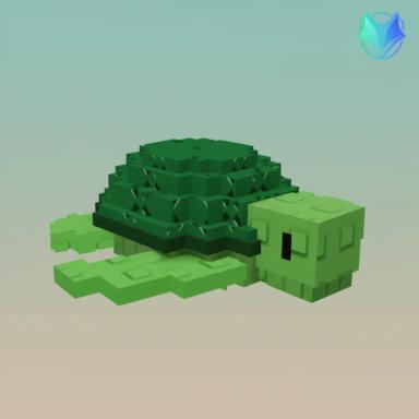 Sea Turtle