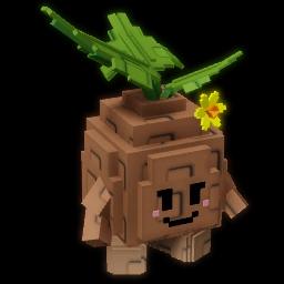 Seedling