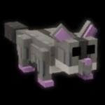 Sugar Glider