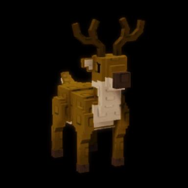Reindeer
